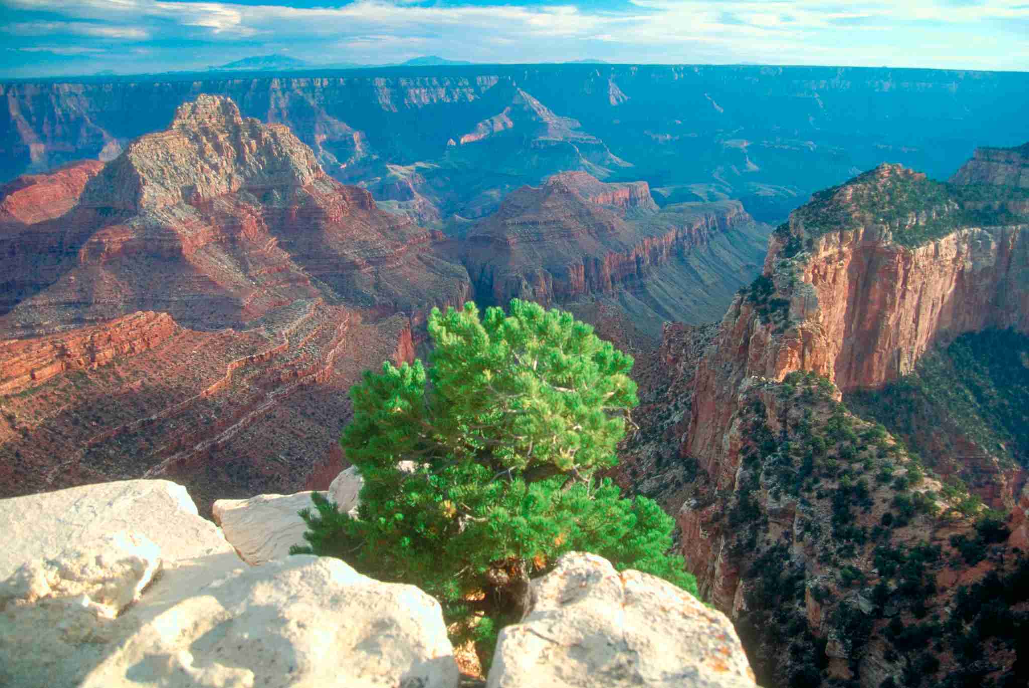 View from Pipe Creek Vista on the south rim of the Grand Canyon National Park, Arizona, USA. (Photo by: MyLoupe/Universal Images Group via Getty Images)