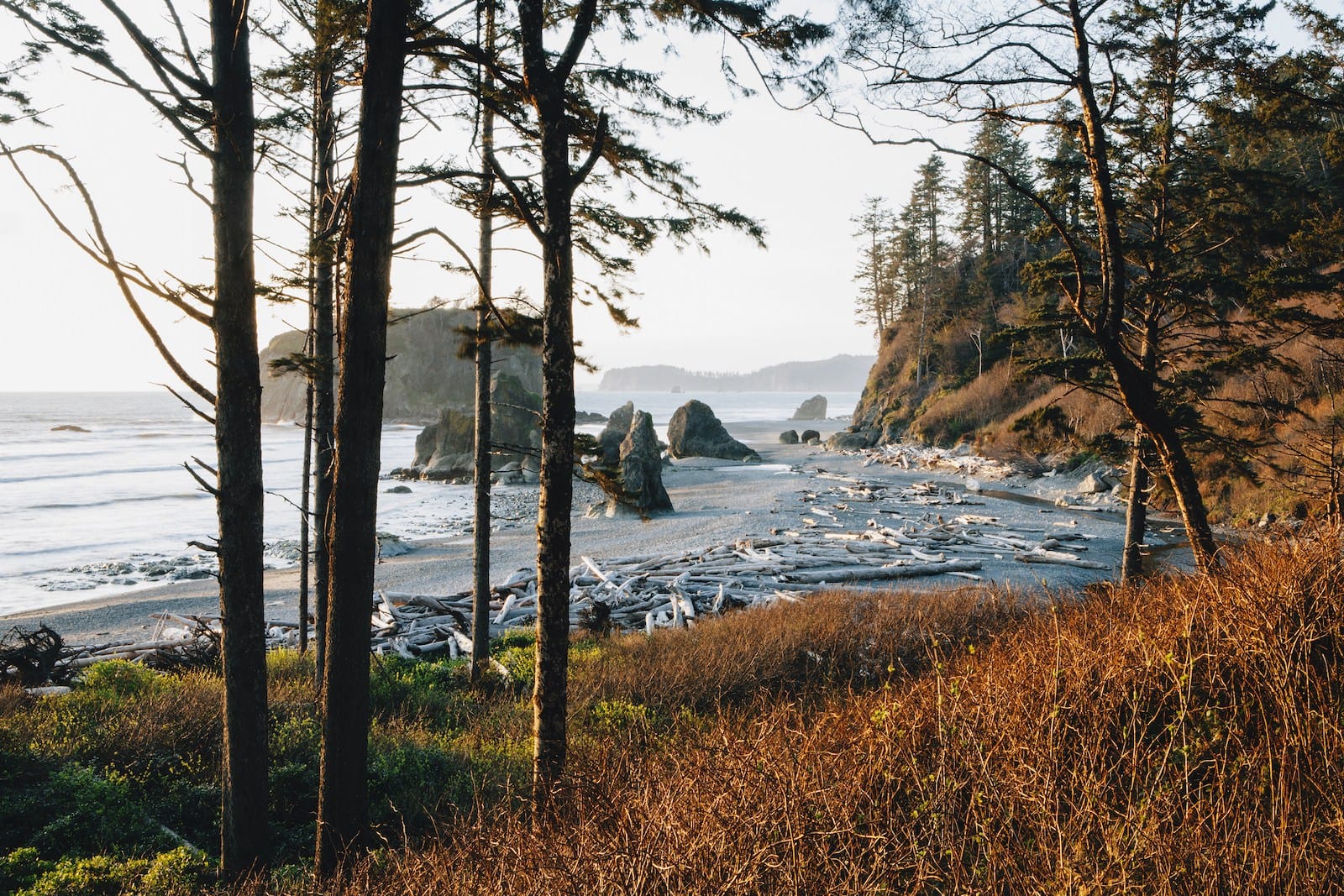 Olympic National Park. (Photo by Mint Images/Getty Images)